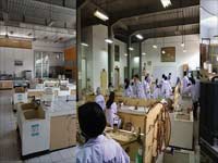 Program Reguler Sore Nomor 10
