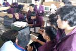 Program Reguler Sore Nomor 8
