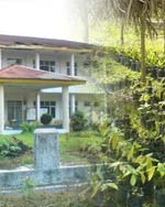 Program Reguler Sore Nomor Foto Home 4